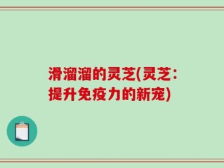 滑溜溜的灵芝(灵芝：提升免疫力的新宠)