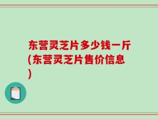 东营灵芝片多少钱一斤(东营灵芝片售价信息)