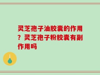 灵芝孢子油胶囊的作用？灵芝孢子粉胶囊有副作用吗