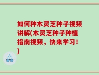 如何种木灵芝种子视频讲解(木灵芝种子种植指南视频，快来学习！)