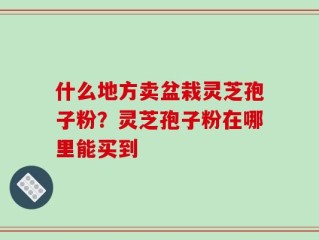 什么地方卖盆栽灵芝孢子粉？灵芝孢子粉在哪里能买到