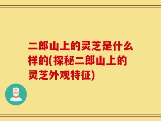 二郎山上的灵芝是什么样的(探秘二郎山上的灵芝外观特征)