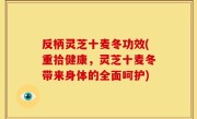 反柄灵芝十麦冬功效(重拾健康，灵芝十麦冬带来身体的全面呵护)