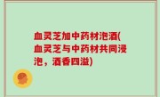 血灵芝加中药材泡酒(血灵芝与中药材共同浸泡，酒香四溢)