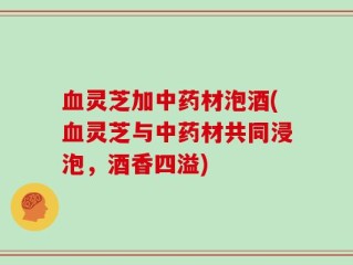 血灵芝加中药材泡酒(血灵芝与中药材共同浸泡，酒香四溢)