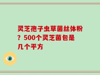 灵芝孢子虫草菌丝体粉？500个灵芝菌包是几个平方