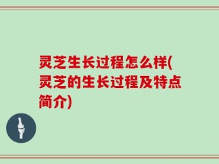 灵芝生长过程怎么样(灵芝的生长过程及特点简介)