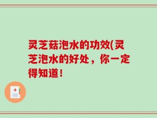 灵芝菇泡水的功效(灵芝泡水的好处，你一定得知道！