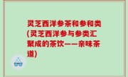 灵芝西洋参茶和参和类(灵芝西洋参与参类汇聚成的茶饮——亲味茶道)