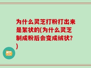 为什么灵芝打粉打出来是絮状的(为什么灵芝制成粉后会变成绒状？)