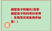 破壁孢子粉图片(探索破壁孢子粉的奇妙世界：生物发光现象揭开秘密！)