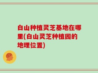 白山种植灵芝基地在哪里(白山灵芝种植园的地理位置)
