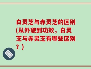 白灵芝与赤灵芝的区别(从外貌到功效，白灵芝与赤灵芝有哪些区别？)