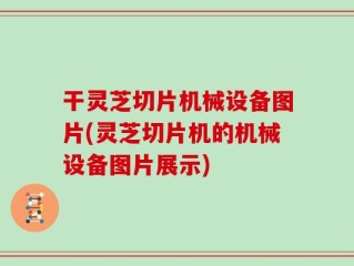 干灵芝切片机械设备图片(灵芝切片机的机械设备图片展示)