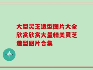 大型灵芝造型图片大全欣赏欣赏大量精美灵芝造型图片合集
