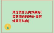 灵芝煲什么肉效果好(灵芝炖肉的好处-如何炖灵芝与肉)