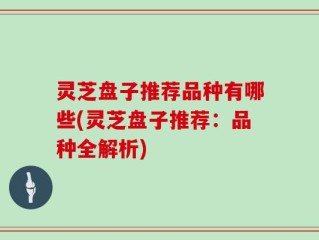 灵芝盘子推荐品种有哪些(灵芝盘子推荐：品种全解析)