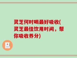 灵芝何时喝最好吸收(灵芝最佳饮用时间，帮你吸收养分)