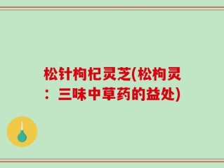 松针枸杞灵芝(松枸灵：三味中草药的益处)