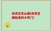 肉灵芝怎么藏(肉灵芝藏起来的小窍门)