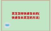 灵芝怎样快速生长的(快速生长灵芝的方法)