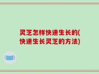 灵芝怎样快速生长的(快速生长灵芝的方法)