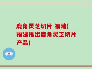 鹿角灵芝切片 福建(福建推出鹿角灵芝切片产品)