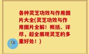 各种灵芝功效与作用图片大全(灵芝功效与作用图片全解！概括、详尽，超全展现灵芝的多重好处！)
