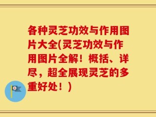 各种灵芝功效与作用图片大全(灵芝功效与作用图片全解！概括、详尽，超全展现灵芝的多重好处！)