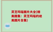 灵芝玛瑙图片大全(精美图集：灵芝玛瑙的绝美图片合集)