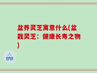 盆养灵芝寓意什么(盆栽灵芝：健康长寿之物)