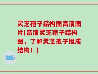 灵芝孢子结构图高清图片(高清灵芝孢子结构图，了解灵芝孢子组成结构！)