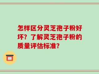 怎样区分灵芝孢子粉好坏？了解灵芝孢子粉的质量评估标准？