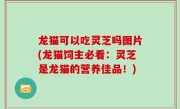 龙猫可以吃灵芝吗图片(龙猫饲主必看：灵芝是龙猫的营养佳品！)