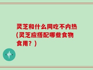 灵芝和什么同吃不内热(灵芝应搭配哪些食物食用？)