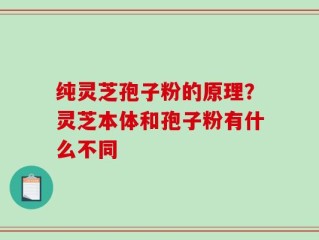 纯灵芝孢子粉的原理？灵芝本体和孢子粉有什么不同