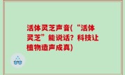 活体灵芝声音(“活体灵芝”能说话？科技让植物造声成真)