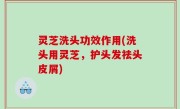 灵芝洗头功效作用(洗头用灵芝，护头发祛头皮屑)
