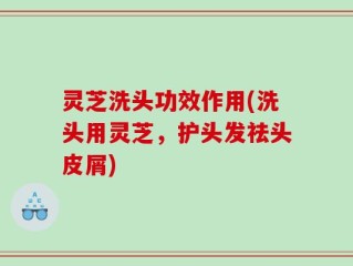 灵芝洗头功效作用(洗头用灵芝，护头发祛头皮屑)