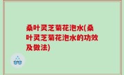 桑叶灵芝菊花泡水(桑叶灵芝菊花泡水的功效及做法)