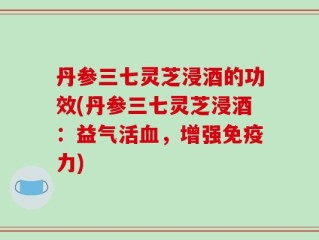 丹参三七灵芝浸酒的功效(丹参三七灵芝浸酒：益气活血，增强免疫力)