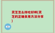 灵芝怎么样吃好啊(灵芝的正确食用方法分享)