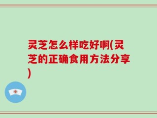 灵芝怎么样吃好啊(灵芝的正确食用方法分享)