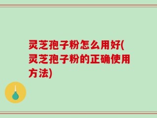 灵芝孢子粉怎么用好(灵芝孢子粉的正确使用方法)