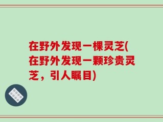 在野外发现一棵灵芝(在野外发现一颗珍贵灵芝，引人瞩目)