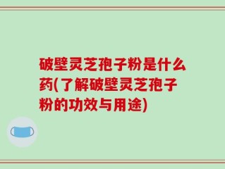 破壁灵芝孢子粉是什么药(了解破壁灵芝孢子粉的功效与用途)