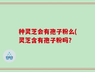 种灵芝会有孢子粉么(灵芝含有孢子粉吗？