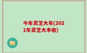 今年灵芝大年(2021年灵芝大丰收)