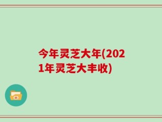 今年灵芝大年(2021年灵芝大丰收)