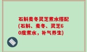 石斛麦冬灵芝煮水搭配(石斛、麦冬、灵芝60度煮水，补气养生)